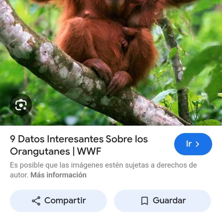 Foto de perfil de C111