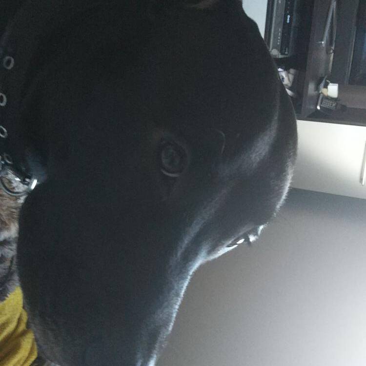Foto de perfil de Layita