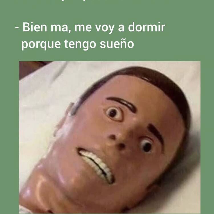 Foto de perfil de Fran