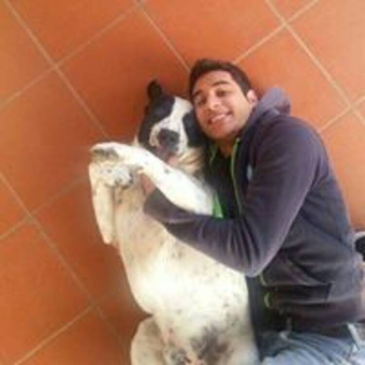 Foto de perfil