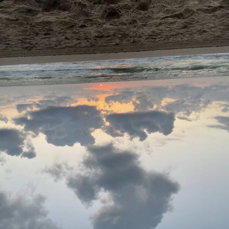 Foto de perfil de Mariajo