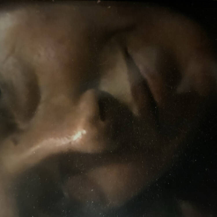 Foto de perfil de Maria
