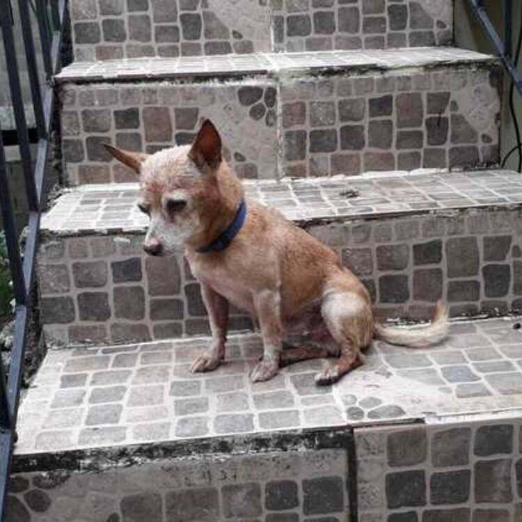 Foto de perfil de alegna