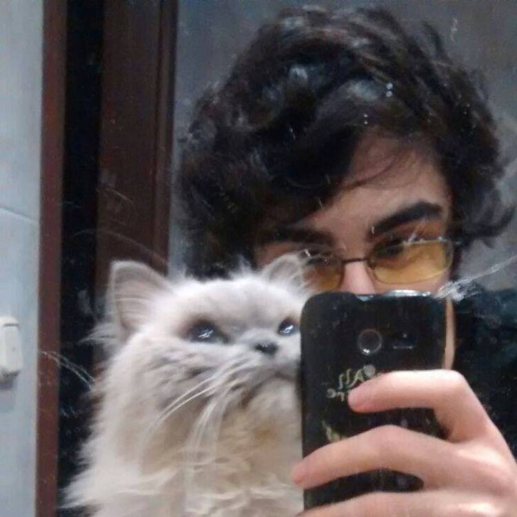 Foto de perfil