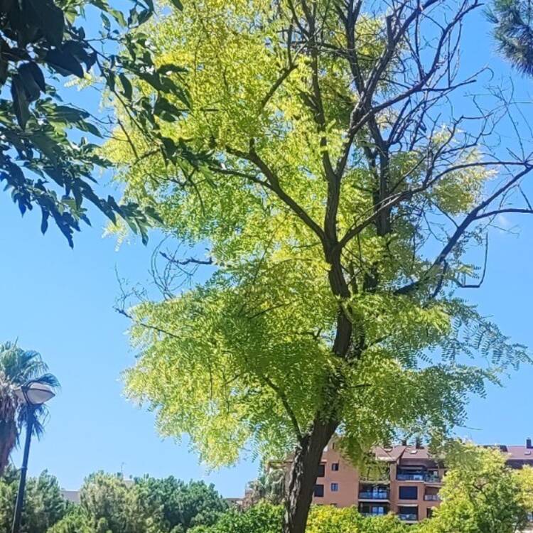 Foto de perfil de Angel
