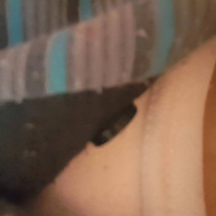 Foto de perfil de Roberto