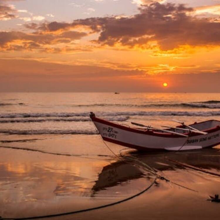Foto de perfil de Medin