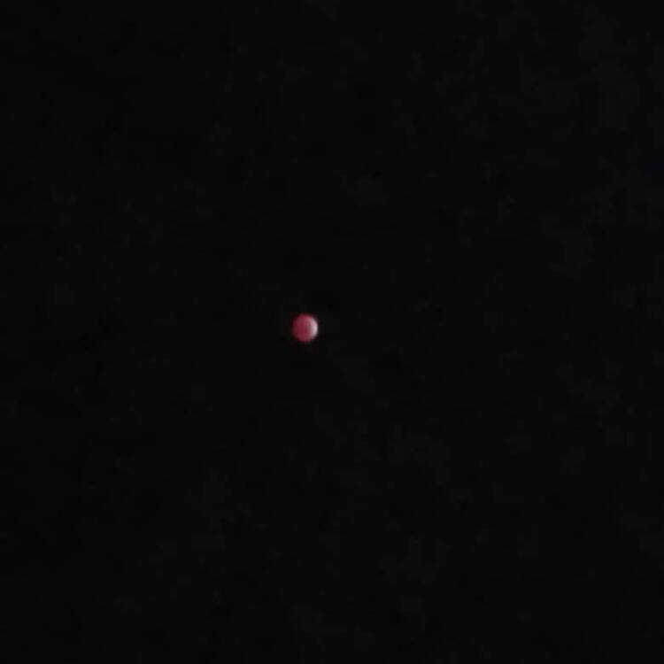 Foto de perfil de Luna