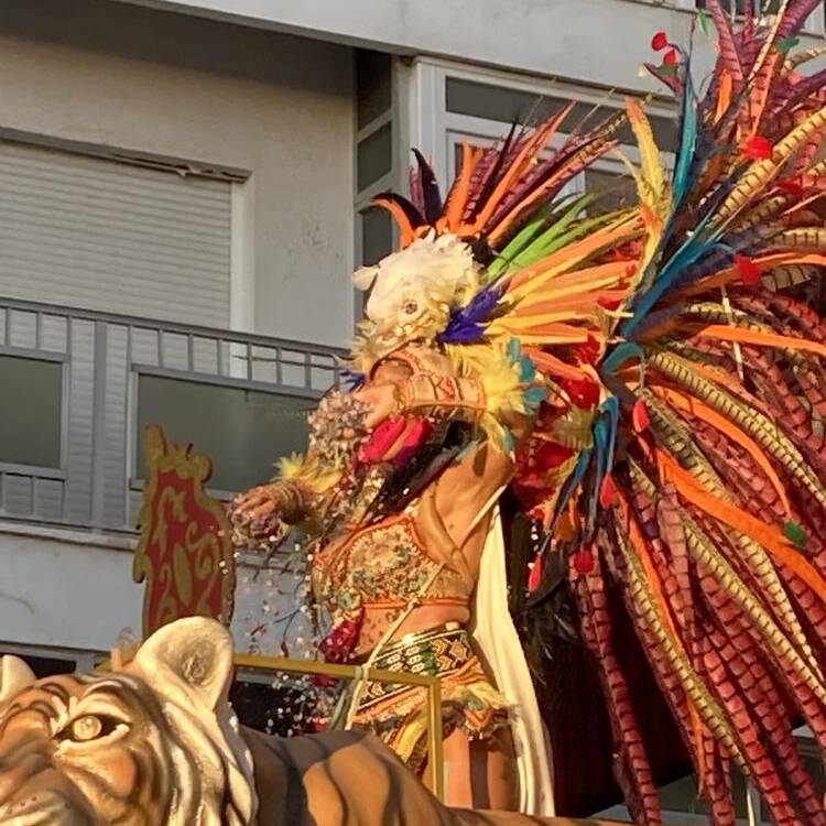 Foto de perfil de Jose