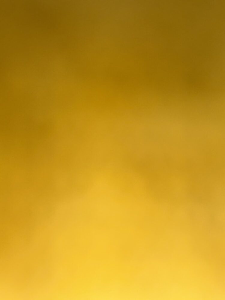 Foto de perfil de Ljavier
