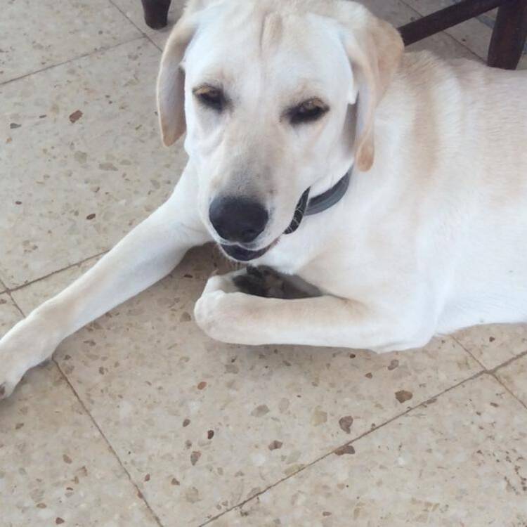 Foto de perfil de Vanesa