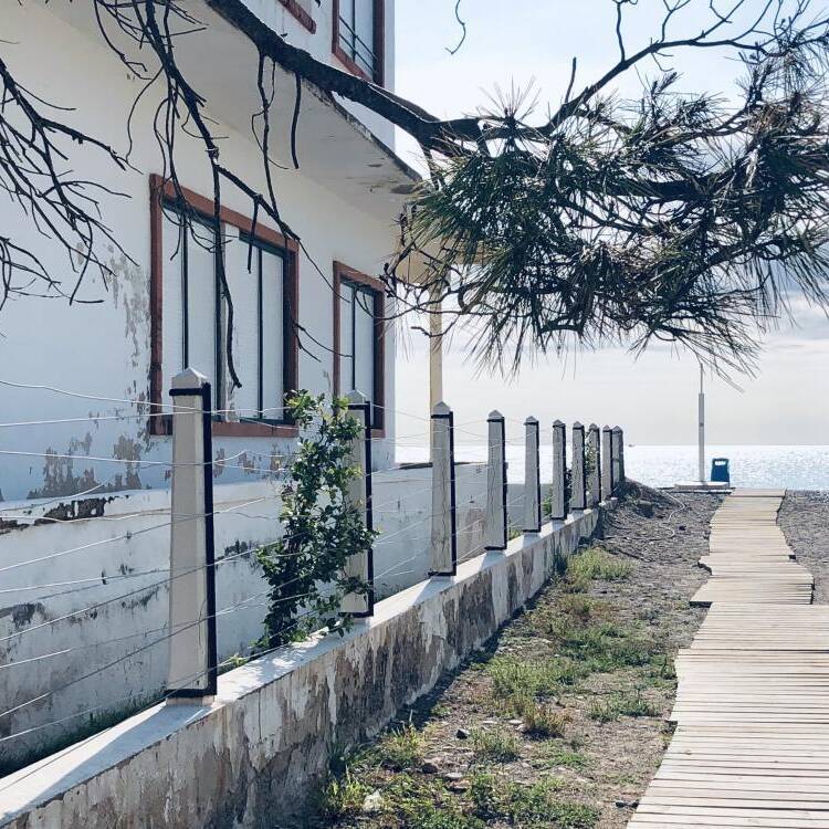 Foto de perfil de PilucaðŸŒ»