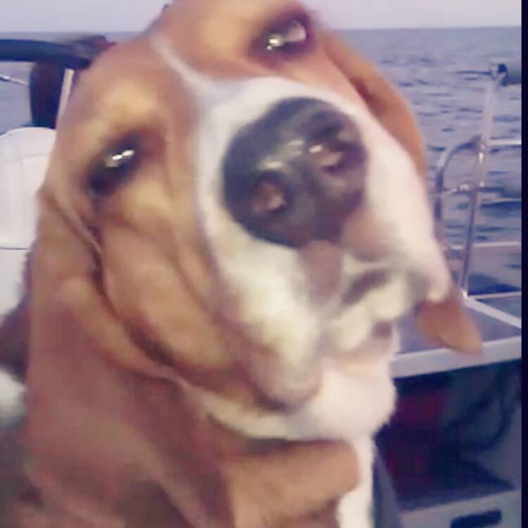 Foto de perfil de Isa