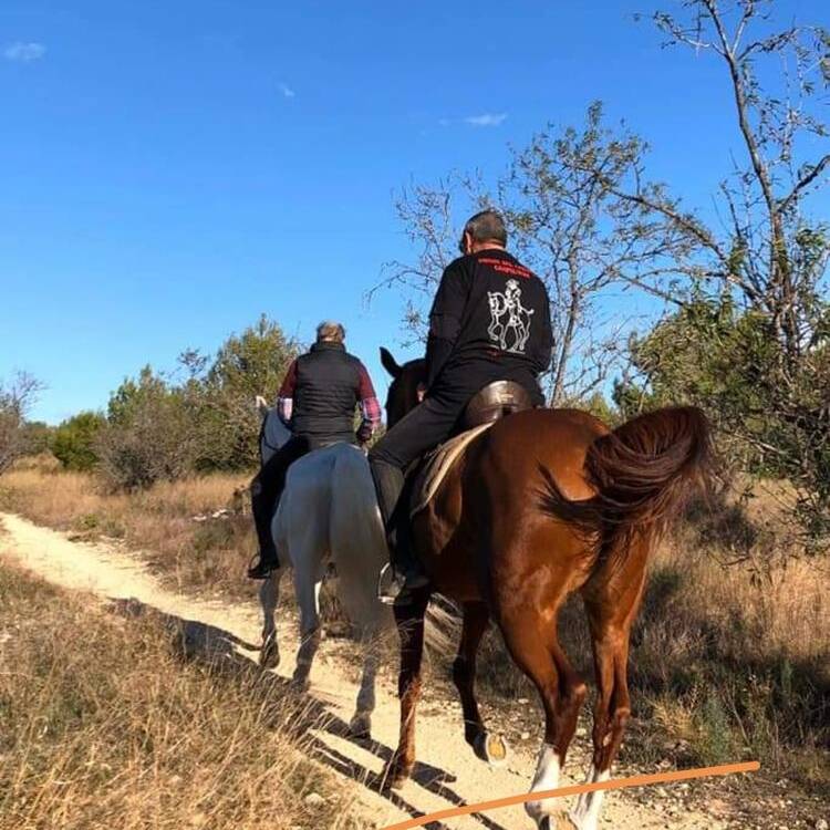 Foto de perfil de jorge