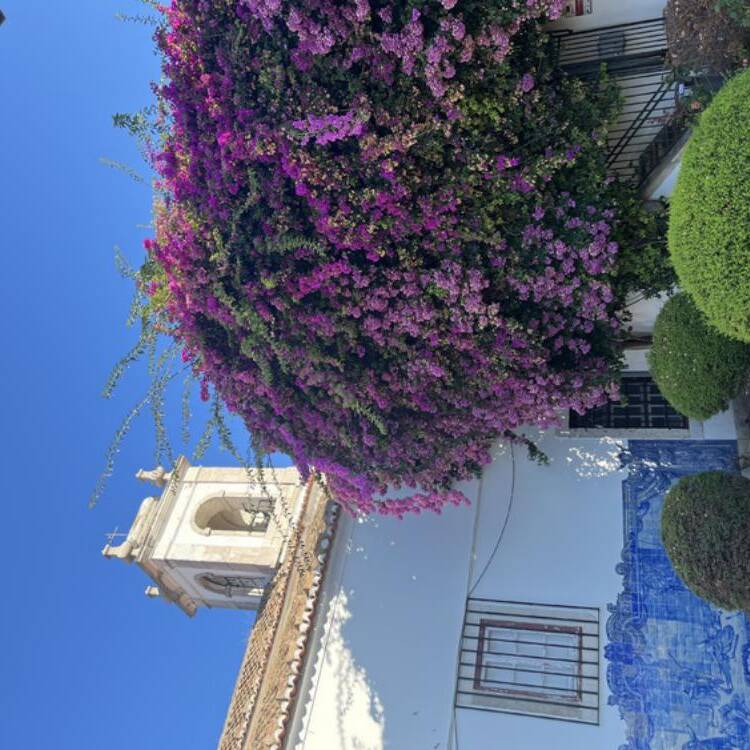 Foto de perfil de María