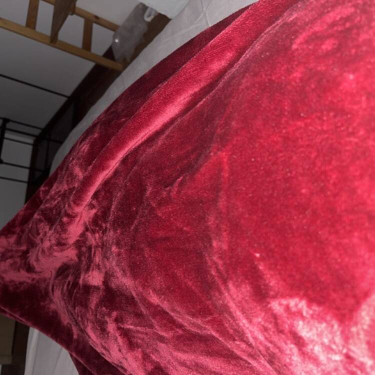 Foto de perfil de Juan zapata