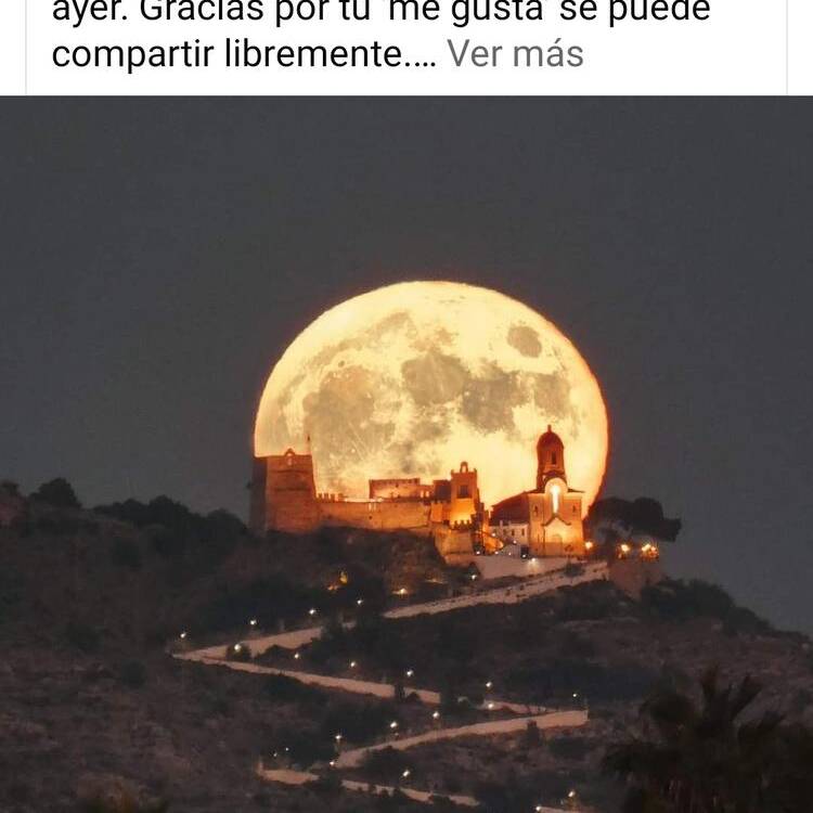 Foto de perfil de M carmen