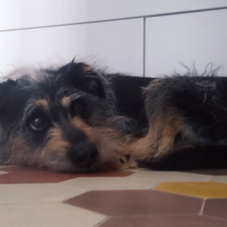 Foto de perfil