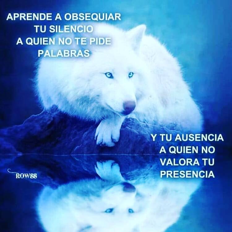 Foto de perfil de Rosa
