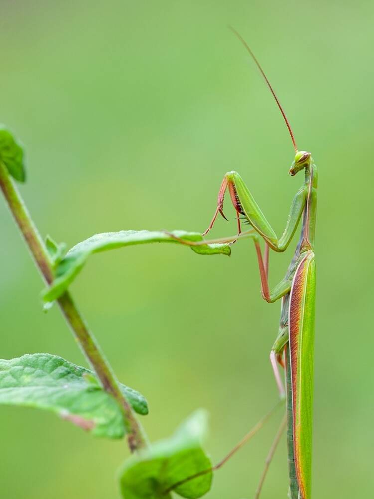Foto de perfil de Anun
