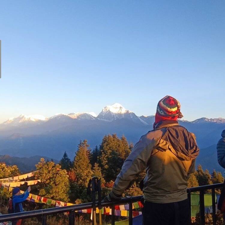 Foto de perfil de Pedro