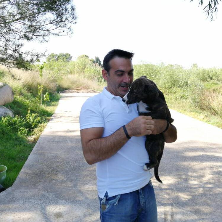 Foto de perfil