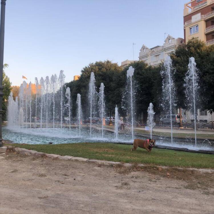 Foto de perfil