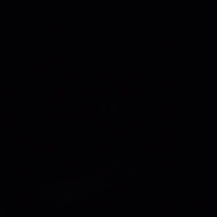 Foto de perfil de Pedro