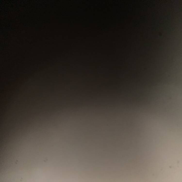 Foto de perfil de Carlos