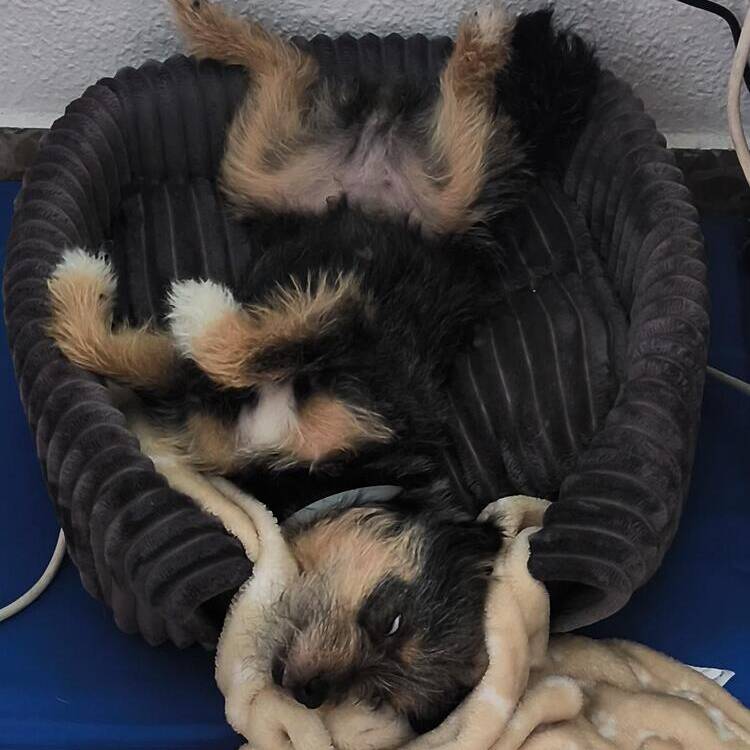 Foto de perfil de Fede