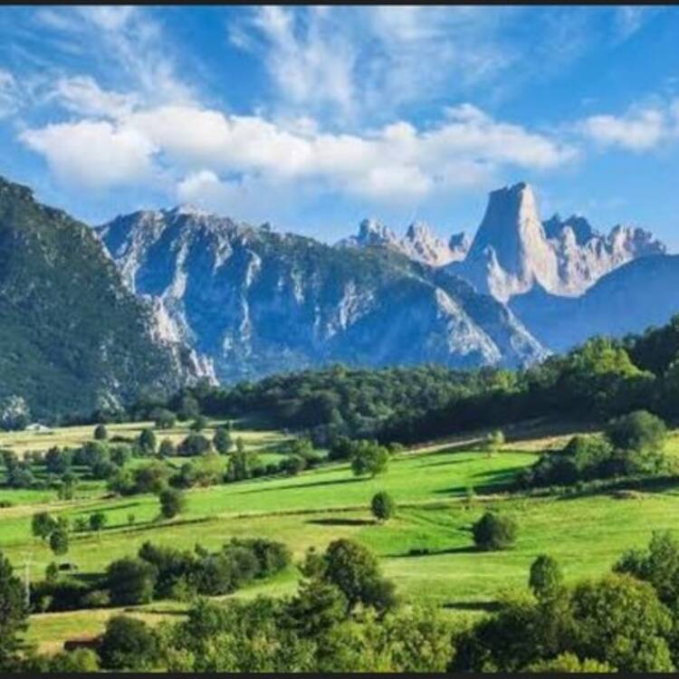 Foto de perfil de Natur