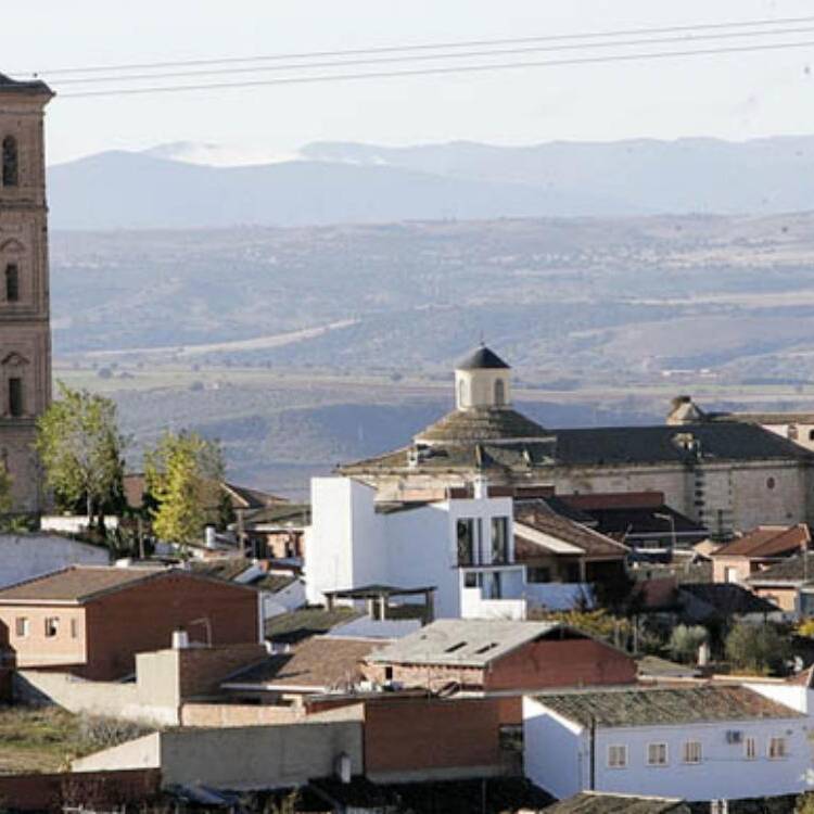 Foto de perfil de amparo
