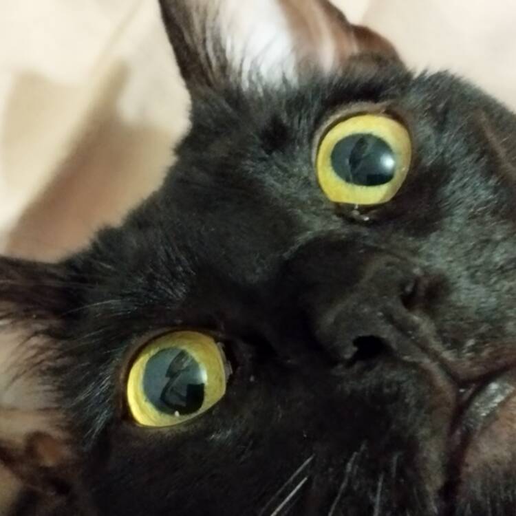 Foto de perfil de Ely