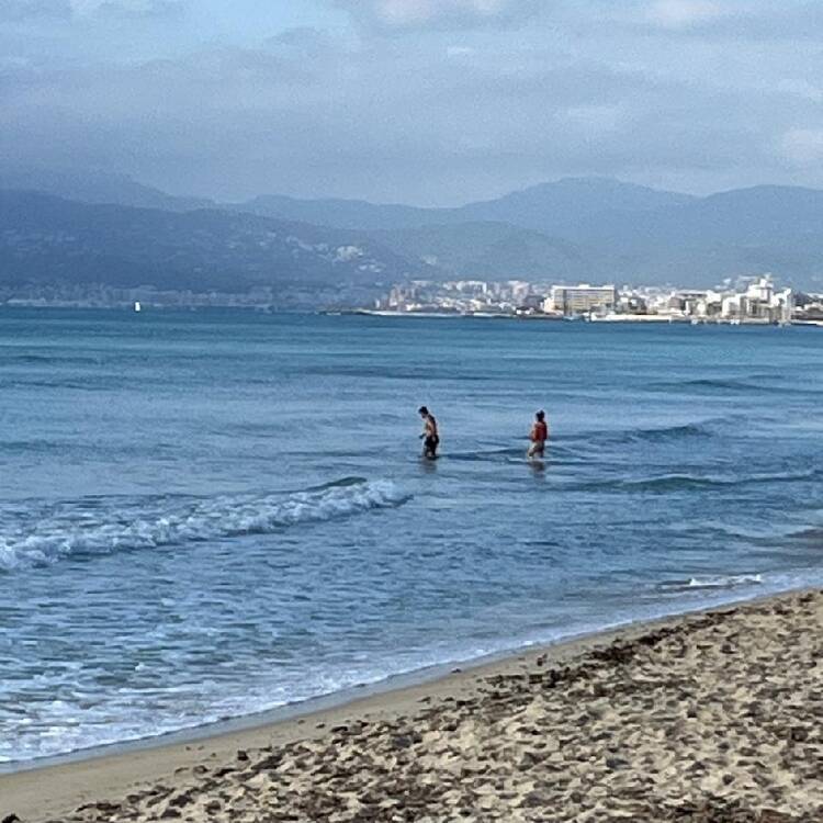 Foto de perfil de JOSE