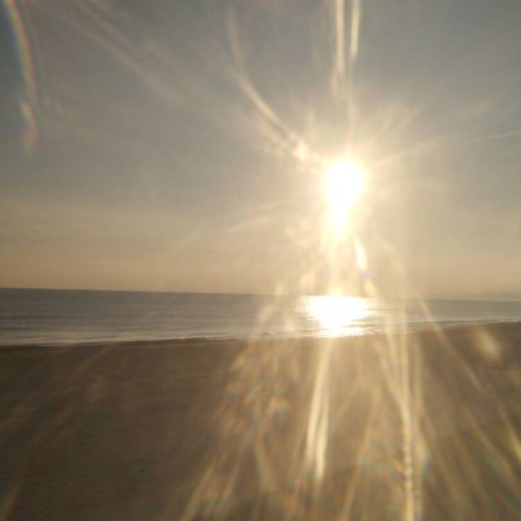 Foto de perfil de Salvador