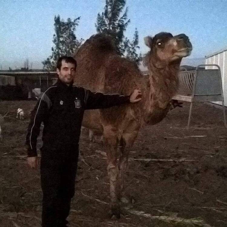 Foto de perfil