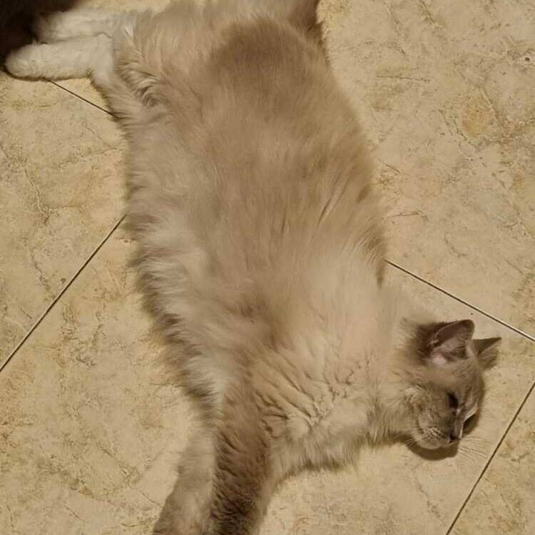 Foto de perfil