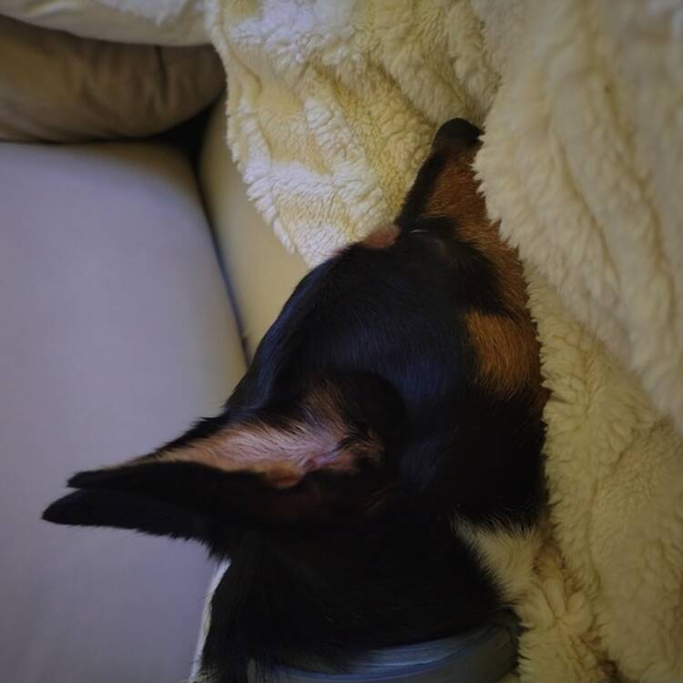 Foto de perfil