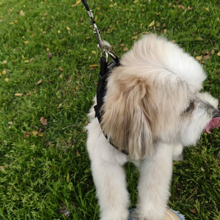 Foto de perfil de Sandra