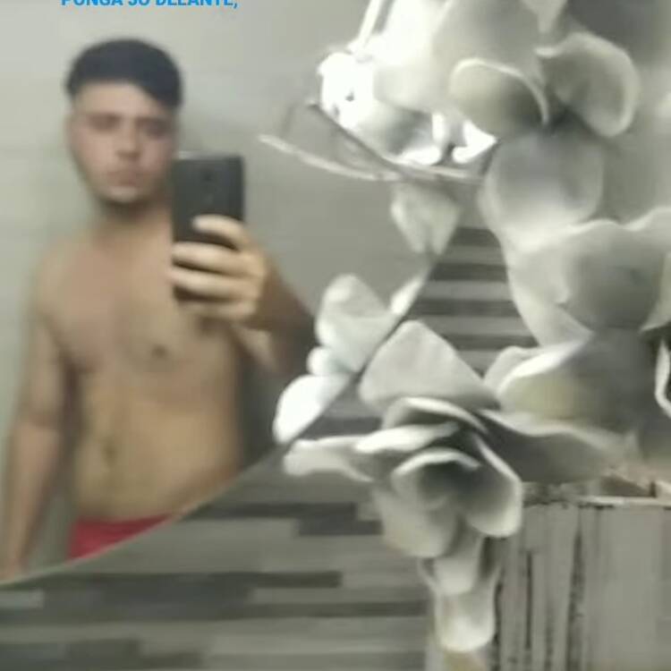 Foto de perfil de Alejandro
