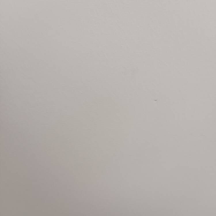 Foto de perfil de Karlos