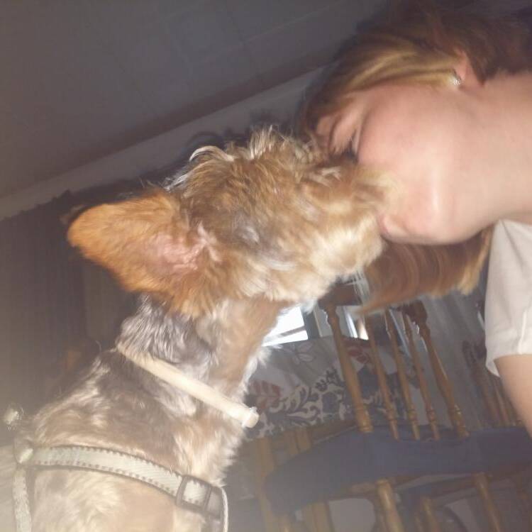 Foto de perfil