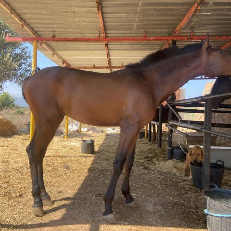 Foto de perfil de Laura