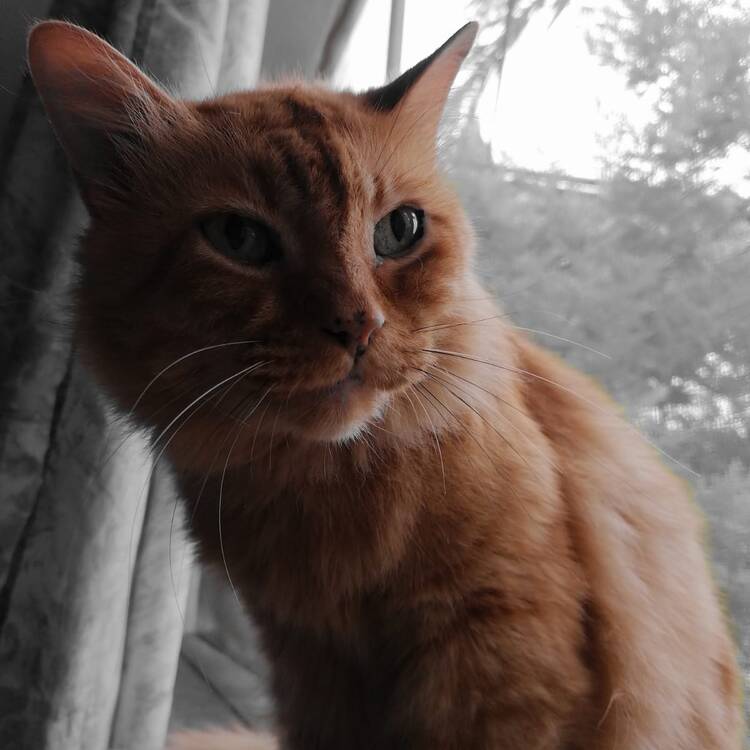 Foto de perfil de Carolina
