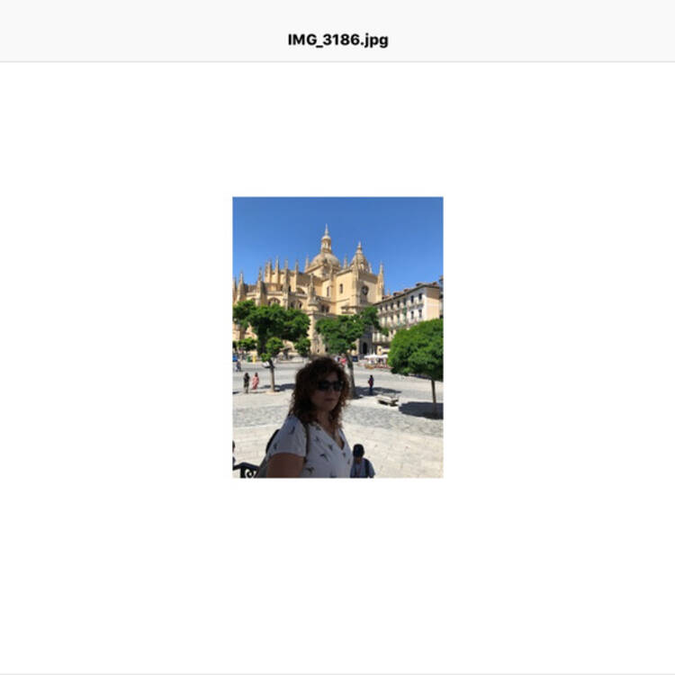 Foto de perfil de Reichel