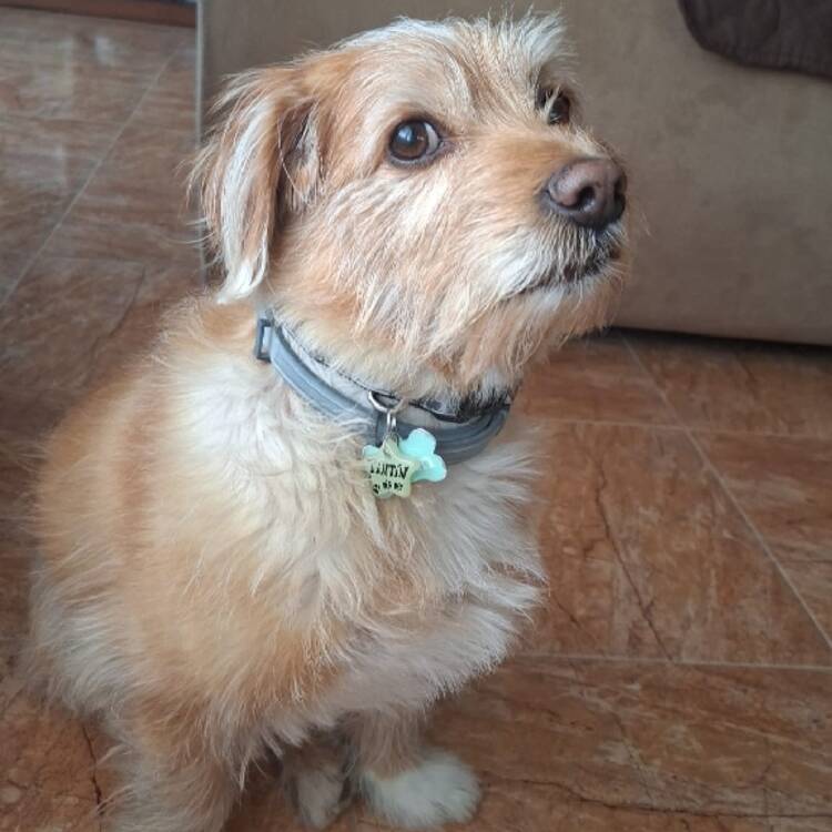 Foto de perfil de gerardo