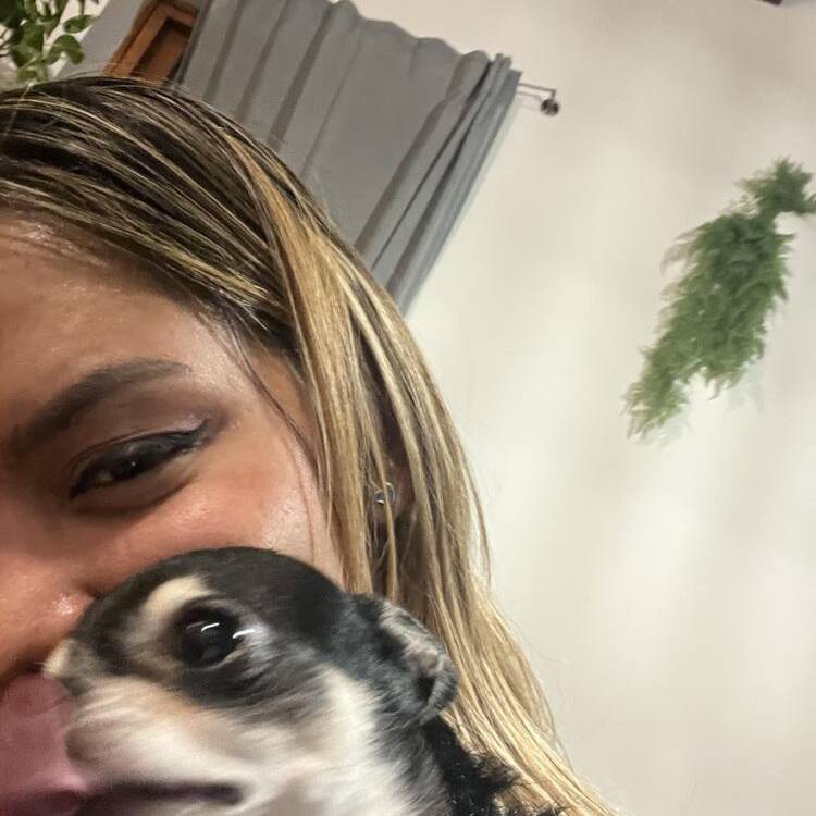 Foto de perfil