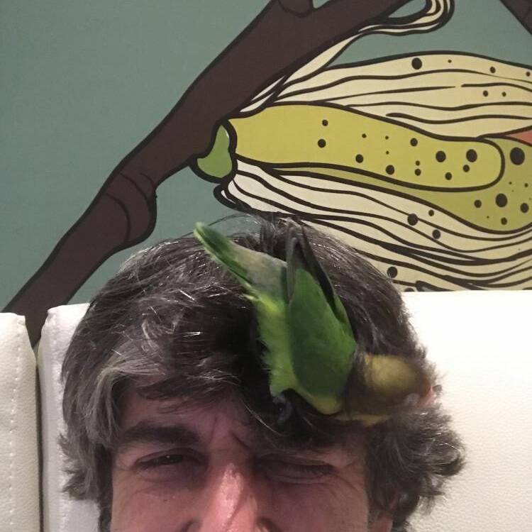 Foto de perfil