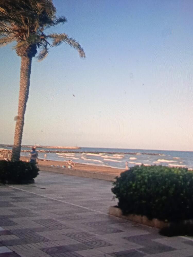 Foto de perfil de Leonor