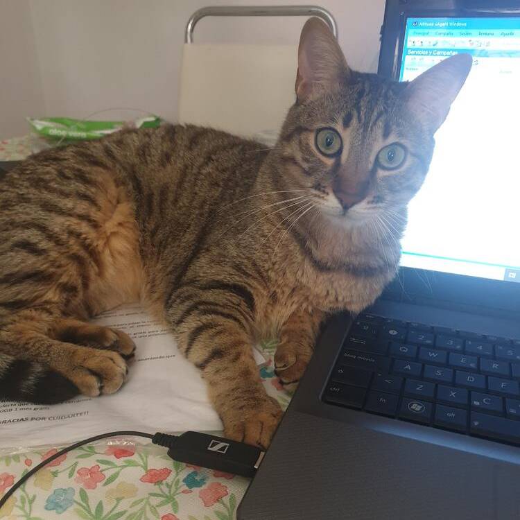 Foto de perfil